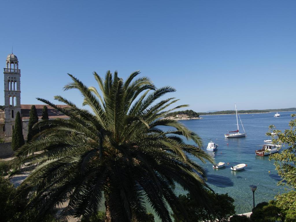 Dalmacija Hvar Hvar Town